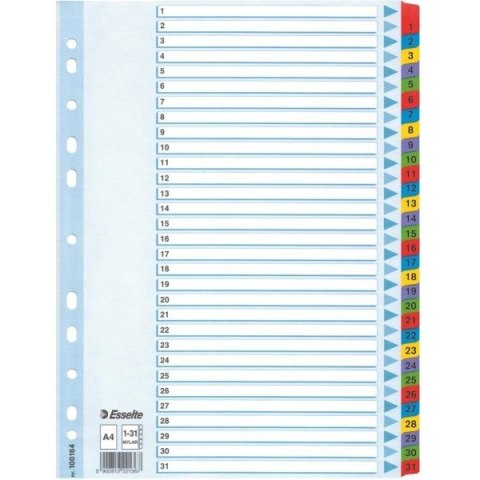 PRZEKŁADKI MYLAR ESSELTE A4 1-31