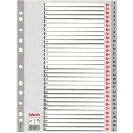 PRZEKŁADKI PP ESSELTE A4 1-31