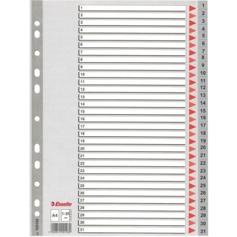 PRZEKŁADKI PP ESSELTE A4 1-31