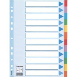 PRZEKŁADKI KARTONOWE ESSELTE A4 INDEX 12 KOLORÓW