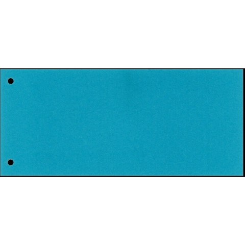 PRZEKŁADKI KARTONOWE ESSELTE 1/3 A4 NIEBIESKE (100)