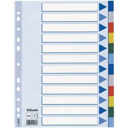 PRZEKŁADKI PP ESSELTE A4 INDEX 12 KOLORÓW