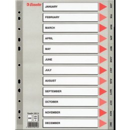 PRZEKŁADKI PP ESSELTE A4 12 MIESIĘCY