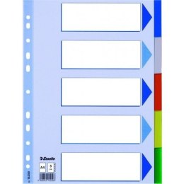 PRZEKŁADKI PP ESSELTE A4 INDEX 5 KOLORÓW