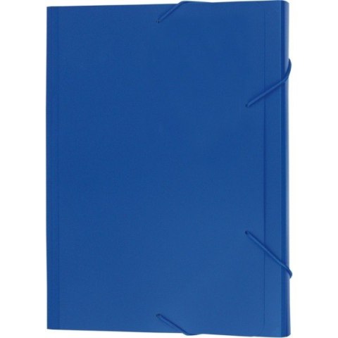 TECZKA EAGLE 12 PRZEGRÓDEK NIEBIESKA