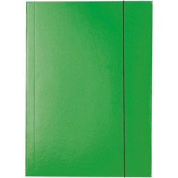 TECZKA KARTONOWA Z GUMKĄ ESSELTE A4/400g ZIELONA