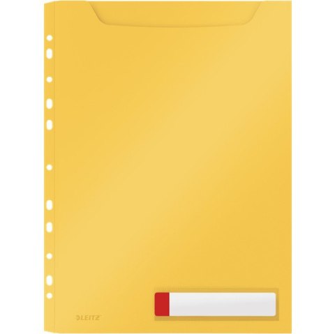 Koszulki PP Leitz Cosy A4/200µm 150k niebieskie (3)