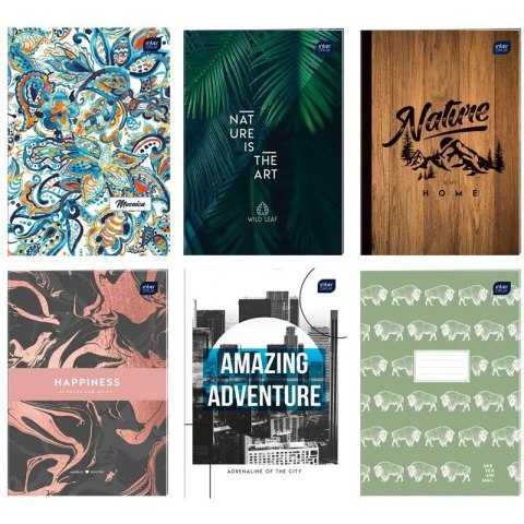 Zeszyt Interdruk UV A4/96k linia