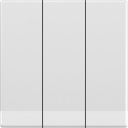 Pilot ścienny Proxima S3 BF (BFT)