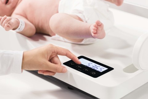 SECA 336 Waga pediatryczna cyfrowa 3 KL. ze wzrostomierz 232 /zestaw