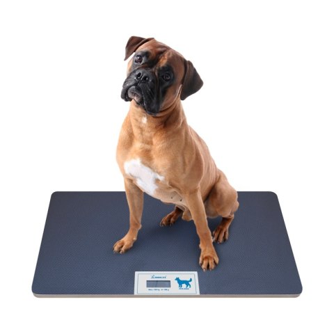 GIMA MOMERT LARGE Waga weterynaryjna elektroniczna, 100 kg, duża platforma, LCD