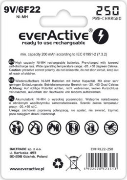 EVERACTIVE LINE 9V/6F22 SILVER Akumulator Ni-MH 250 mAh, ready to use, 1 szt.