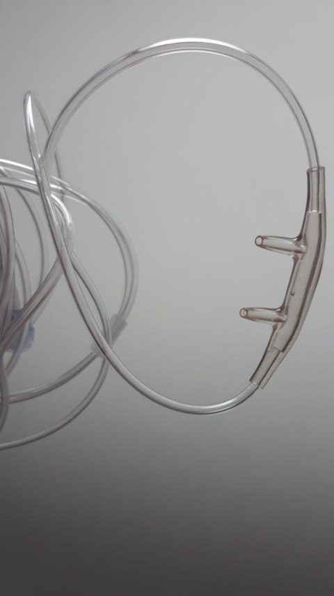 NONIN Kaniula nosowa pediatryczna, do kapnografu, Luer-Lock, sterylna