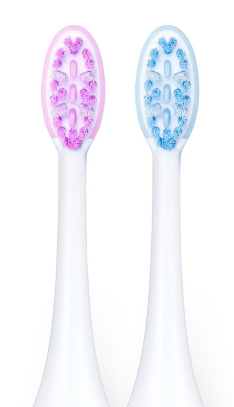 VITAMMY AURUM ROSE Szczoteczka soniczna do zębów z polerowaniem, elegancki design