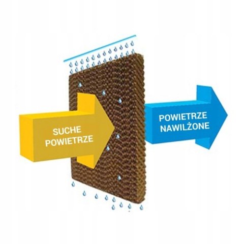 HONEYWELL TC10PCEI Klimator 3w1: wentylator, nawilżacz i jonizator, do 11m²