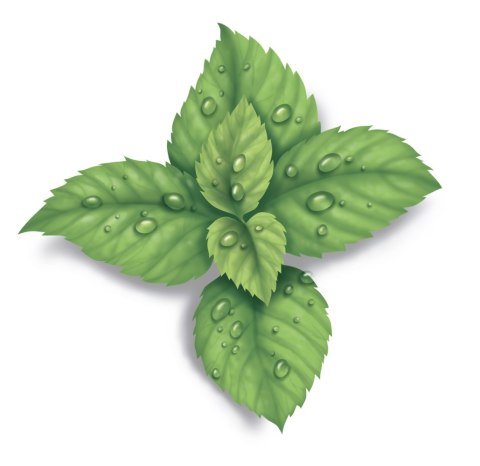 VICKS VAPOPADS VH7V1 Mentolowe wkładki zapachowe, do 8h działania, 7 szt.