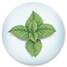 VICKS VH1700EEMEAV1 NEW Dyfuzor olejków do kontaktu z 2 wkładkami mentolowymi