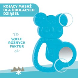 CHICCO 4M+ Gryzak na ząbkowanie, koala ze stalą nierdzewną, dla chłopca