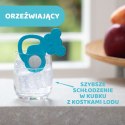CHICCO 4M+ Gryzak na ząbkowanie, koala ze stalą nierdzewną, dla chłopca