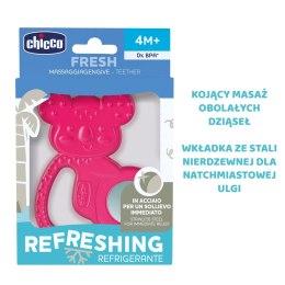 CHICCO 4M+ Gryzak na ząbkowanie, koala ze stalą nierdzewną, dla dziewczynki