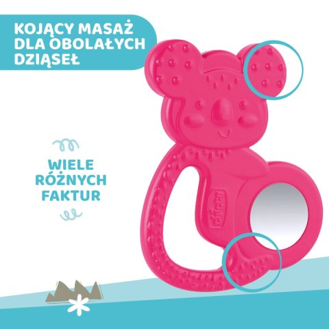 CHICCO 4M+ Gryzak na ząbkowanie, koala ze stalą nierdzewną, dla dziewczynki