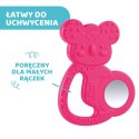 CHICCO 4M+ Gryzak na ząbkowanie, koala ze stalą nierdzewną, dla dziewczynki