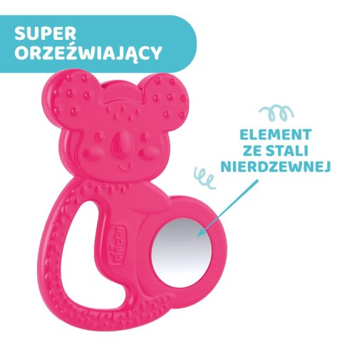 CHICCO 4M+ Gryzak na ząbkowanie, koala ze stalą nierdzewną, dla dziewczynki