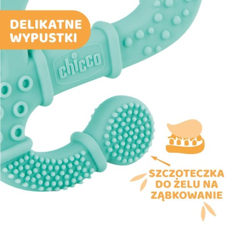 CHICCO 2M+ Gryzak na ząbkowanie jaszczurka, silikonowy, dla chłopca