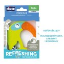 CHICCO 6M+ 240 ml Gryzak na ząbkowanie, wodny tukan, chłodzący