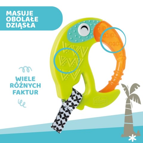 CHICCO 6M+ 240 ml Gryzak na ząbkowanie, wodny tukan, chłodzący