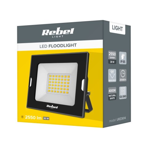 Reflektor LED naświetlacz Rebel 30W , 4000K, 230V