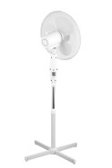 Wentylator stojący Teesa z wyłącznikiem czasowym