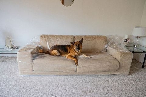 Folia ochronna 3-osobowa kanapa 304,8 x 137,2cm GRUBA 50 mikronów