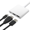 Qoltec Hub Adapter USB-C 3.1 3w1 | USB 3.0 | HDMI 4K | USB-C 3.1 PD 100W