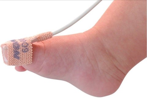 NONIN 6000CP ZB Sensor pulsoksymetru pediatryczny, tkanina elastyczna, 24 sztuki