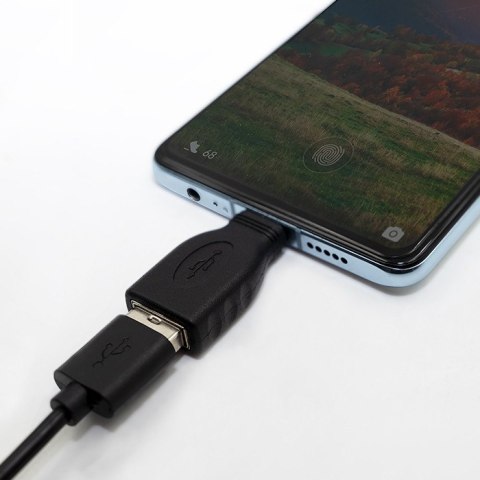 Qoltec Adapter przejściówka USB-C 3.1 | USB 2.0