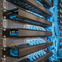 Qoltec Zestaw montażowy M16 do szaf Rack | 50szt.