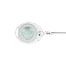 Lampa warsztatowa z lupą 10W, 6500K