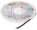 TAŚMA LED LED-COB-24V/14W-RGB/5M MW Lighting