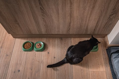 Miska płytka BEŻOWA FIBOO