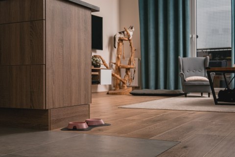 Miska płytka BEŻOWA FIBOO