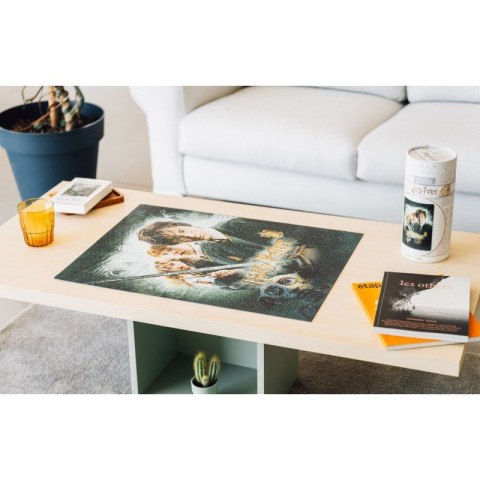 Harry Potter - Puzzle 500 elementów w ozdobnym pudełku (Harry Potter i Komnata Tajemnic)