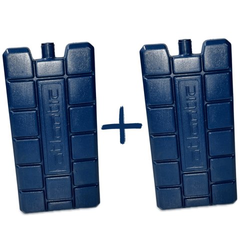 Wkład CEGECO 2 x 240ml Kamai