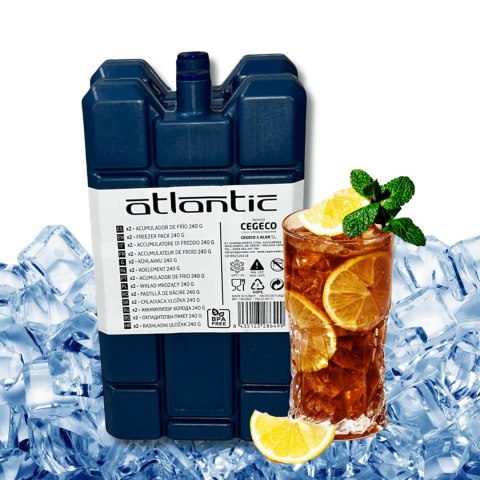 Wkład CEGECO 2 x 240ml Kamai
