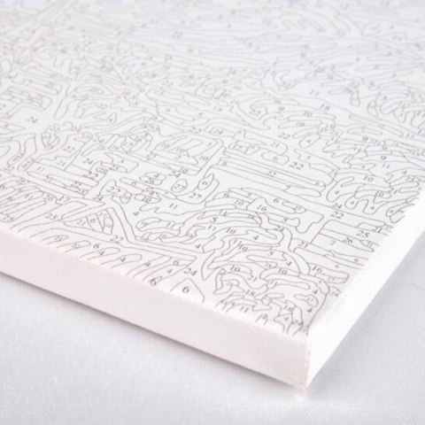 Obraz do malowania po numerach - Kwiaty maki 60x75