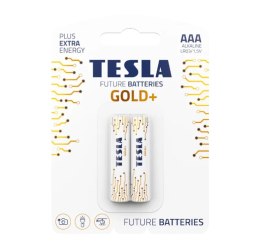 BATERIE ALKALICZNE AAA TESLA GOLD+ LR03 2 SZTUKI