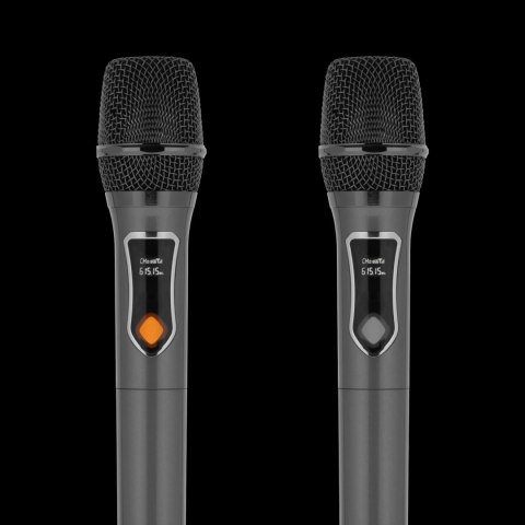 Aktywna kolumna głośnikowa (z 2 mikrofonami bezprzewodowymi UHF, SD, Bluetooth, FM, USB, LED) 60 Watt