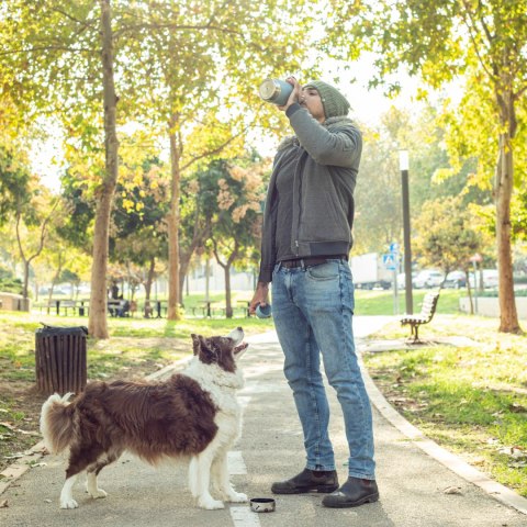 ASOBU Butelka termiczna STAINLESS z miską dla psa niebieska, 975ml