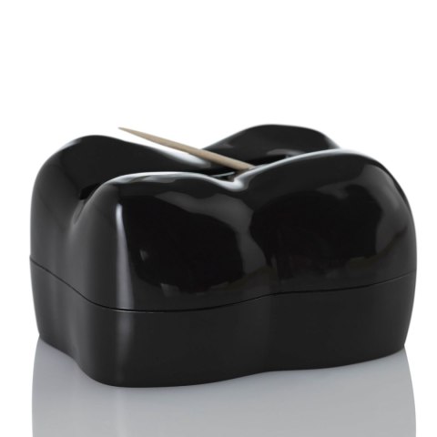 Dyspenser do wykałaczek STUZZI czarny ząb