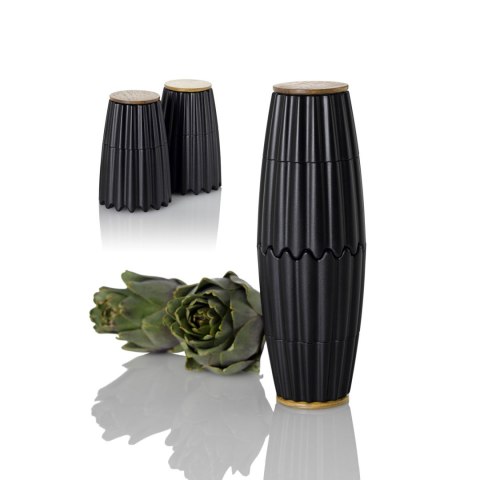 Zestaw magnetycznych młynków do pieprzu i soli MagTwo